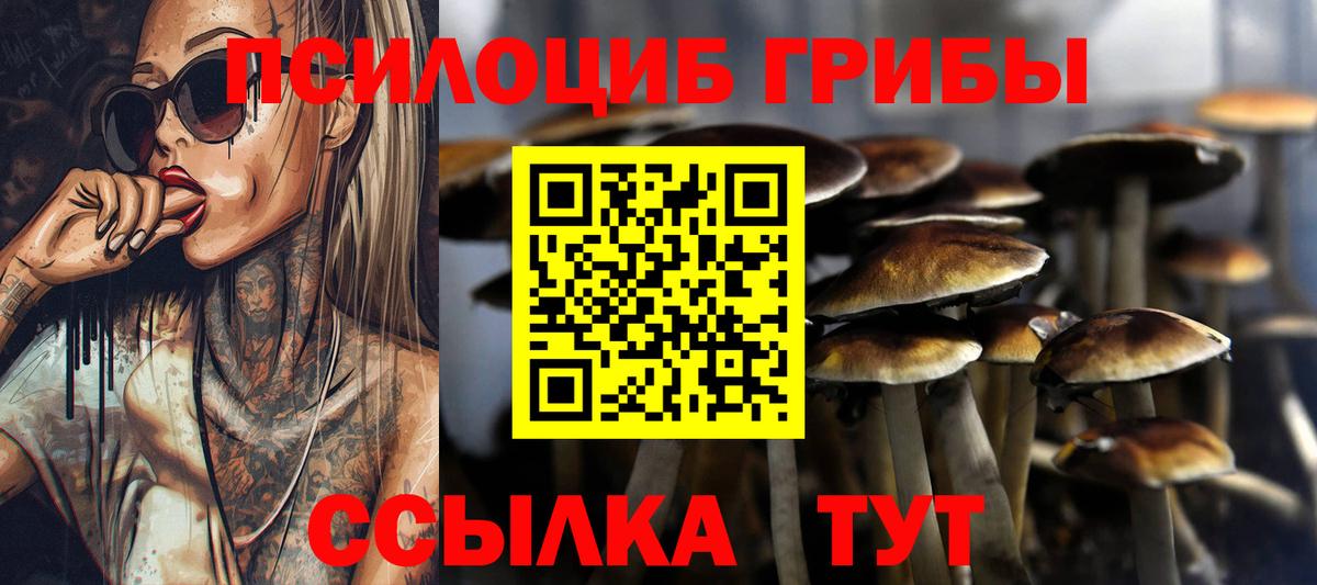 Псилоцибиновые грибы Psilocybine cubensis Туймазы